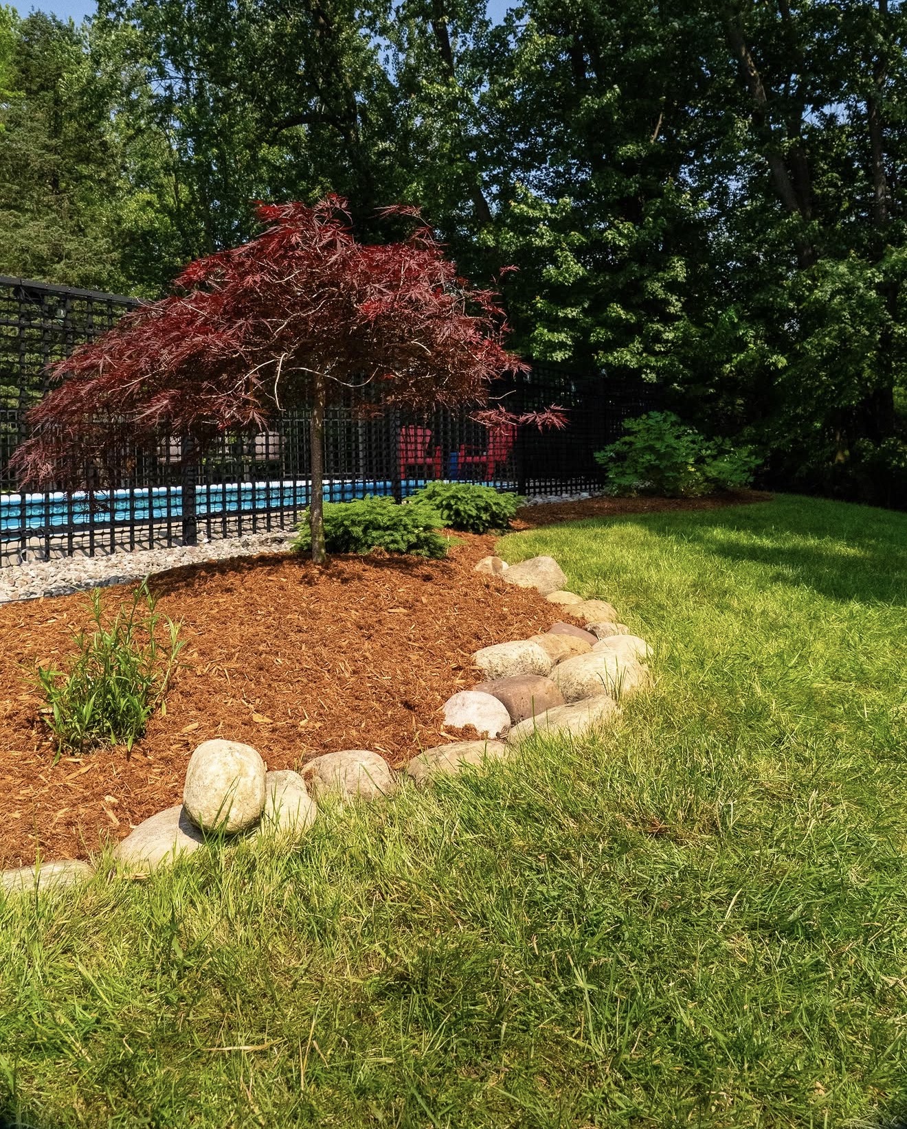 Garden Design & Installation