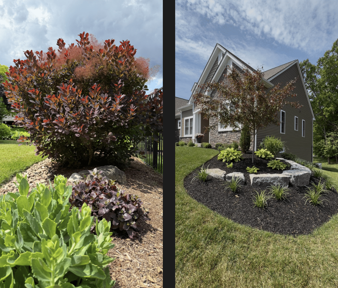 Landscaping and garden beds by Pineda Property Maintenance