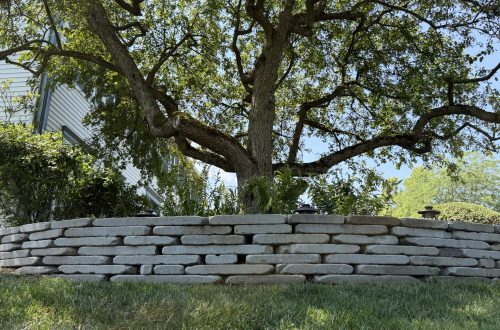 Hardscaping Hardscaping